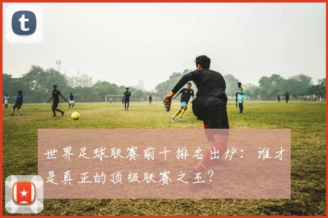 世界足球联赛前十排名出炉：谁才是真正的顶级联赛之王？